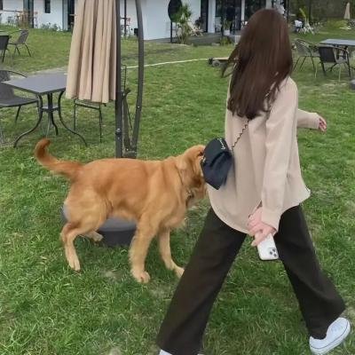 爱的越界